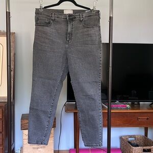 Everlane Grey Skinny High Rise Ankle Jeans sz 33